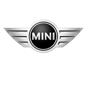 Mini Engine Replacement Srvices